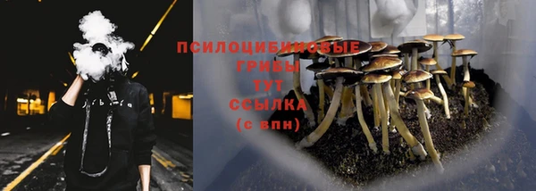 скорость Алексин