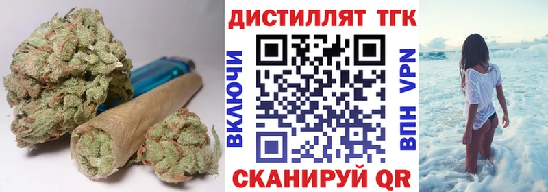 где купить   Трубчевск  ТГК концентрат 